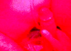 Akratos in all directions his young lady be worthwhile for honor &ndash; Greek porn